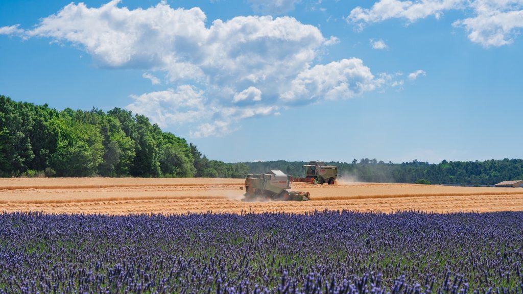 L'agriculture en France